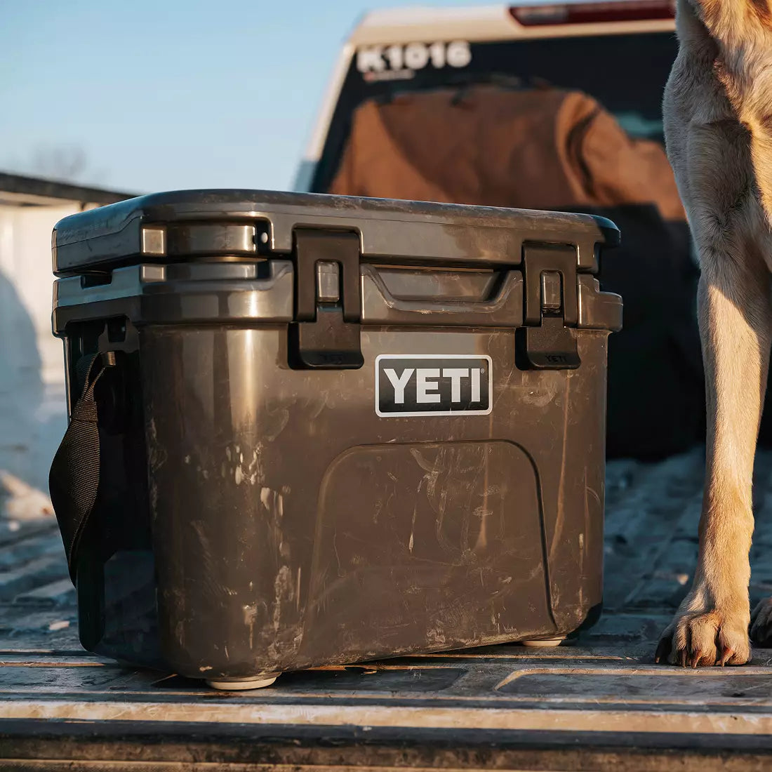 Roadie 15 Hard Cooler