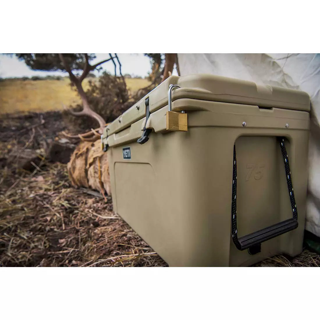 Tundra 75 Cooler