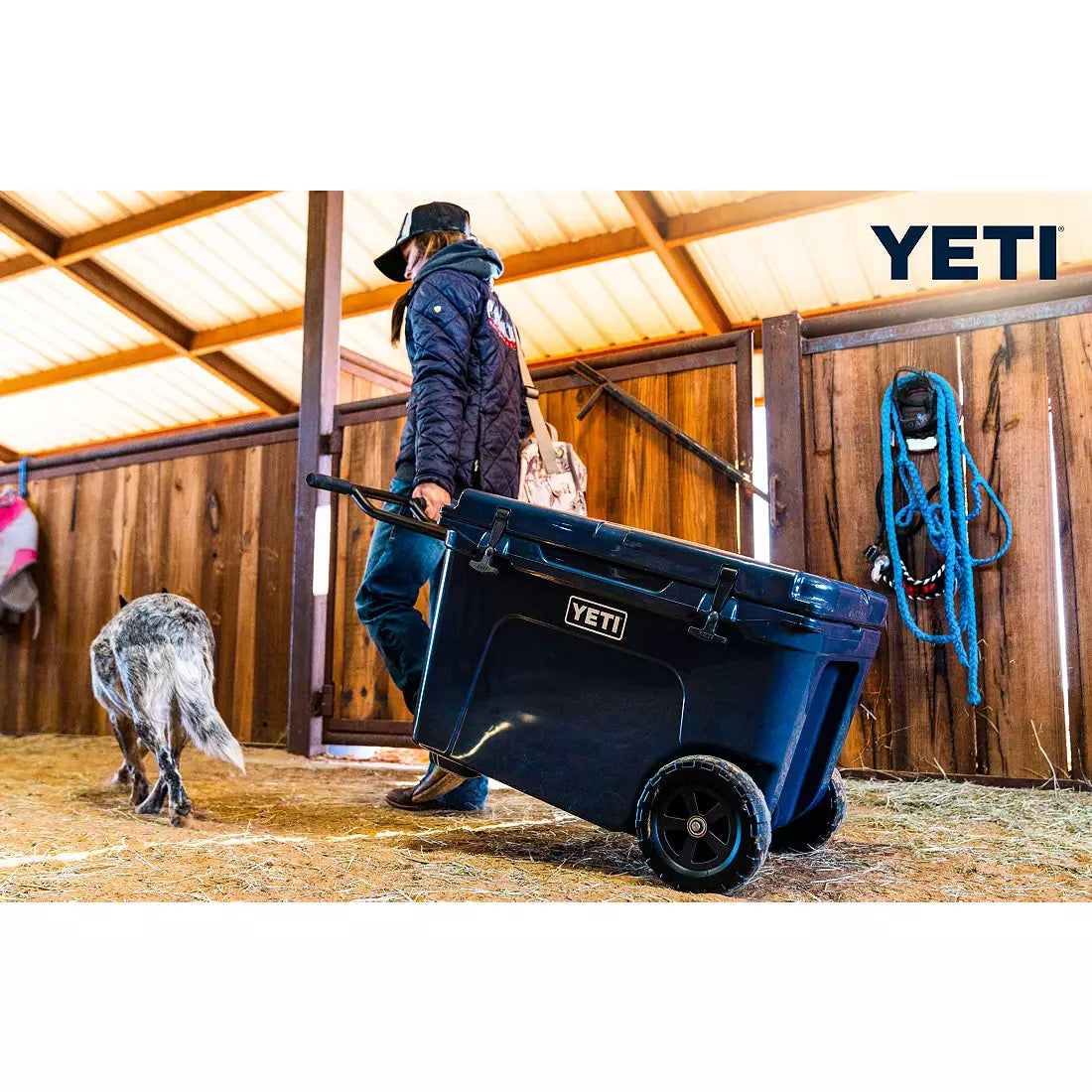 Tundra Haul Cooler